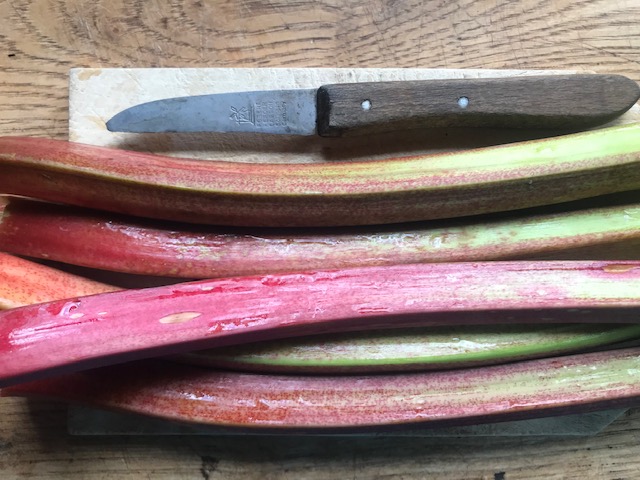 rhubarb stalks on wooden board with knife