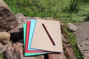four colourful sketchbooks and a pencil next to a pond