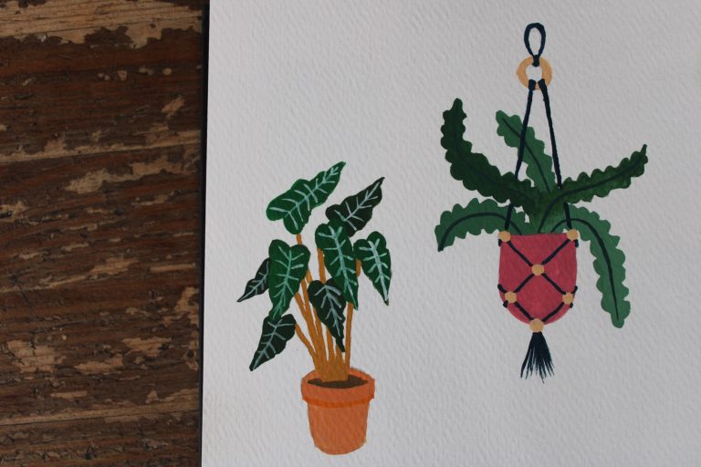 gouache illustration of pot plants