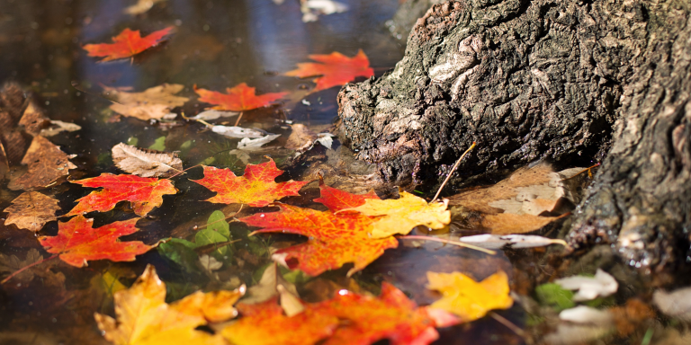 november
