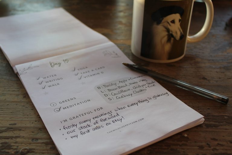 30 Days of Self-Care Planner