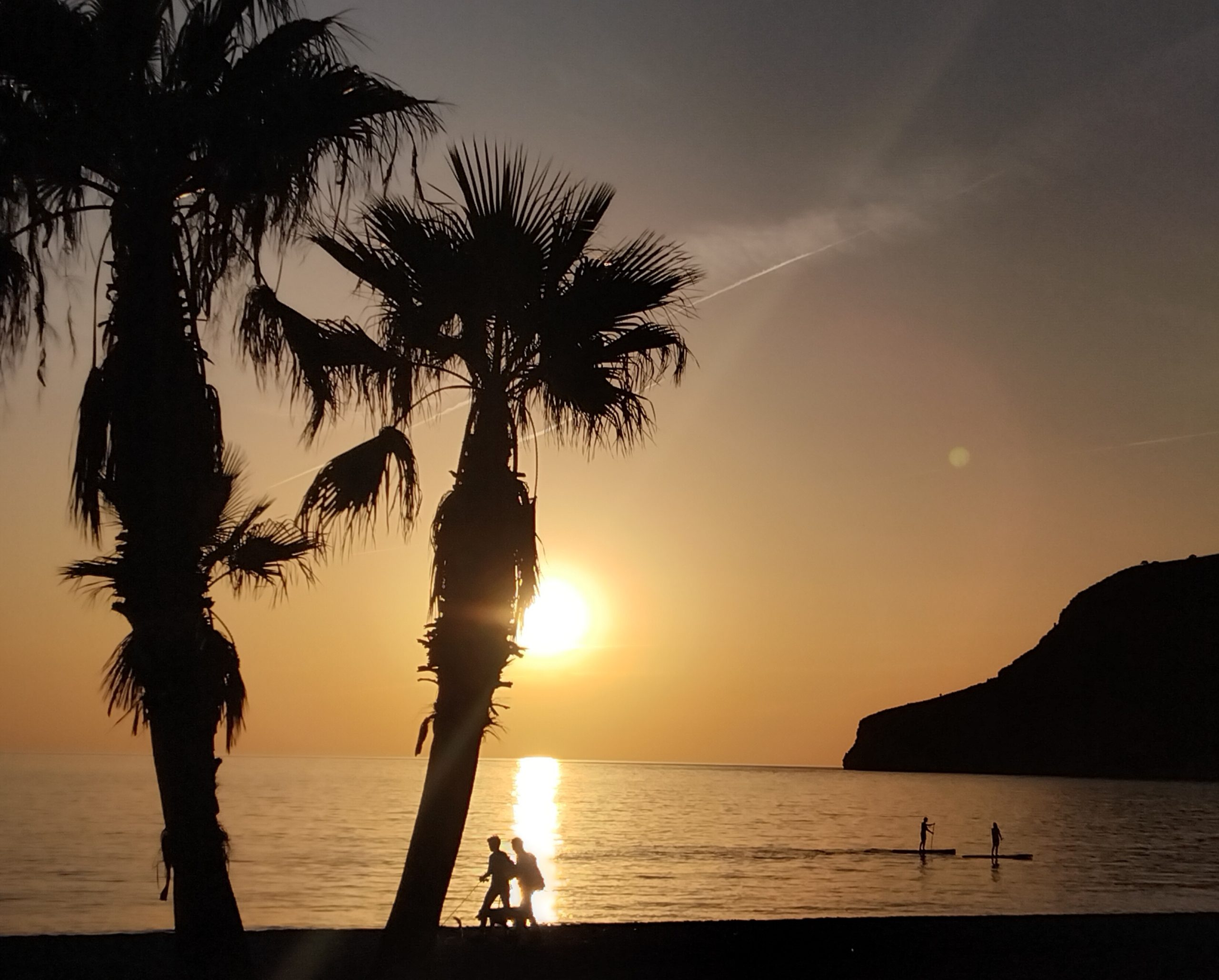 beach sunset with two palm trees and people walking