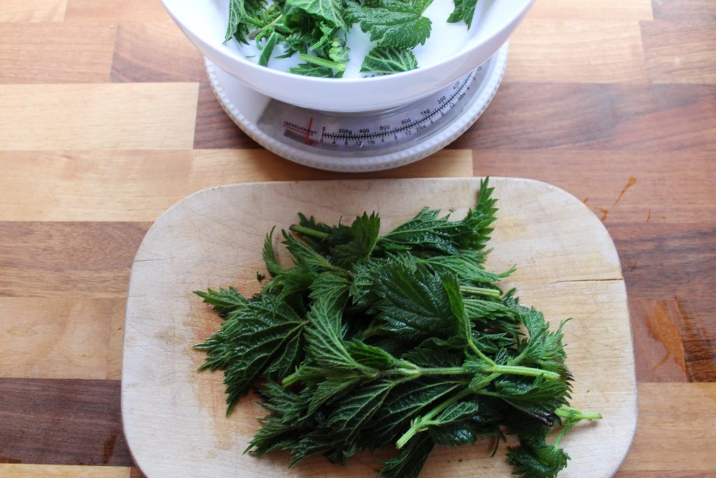 chopping and measuring blanched nettles