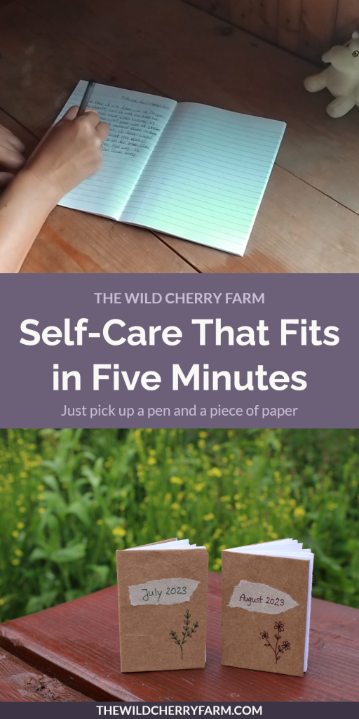 journal prompts for self care pinterest pin